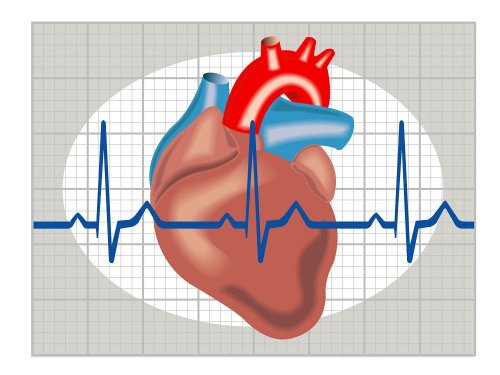 Un schéma du coeur avec la fréquence cardiaque