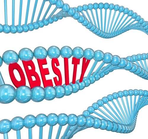 Le gène de l'obésité selon la science