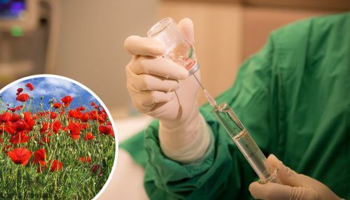 Le tramadol fait partie de la amille des opiacés