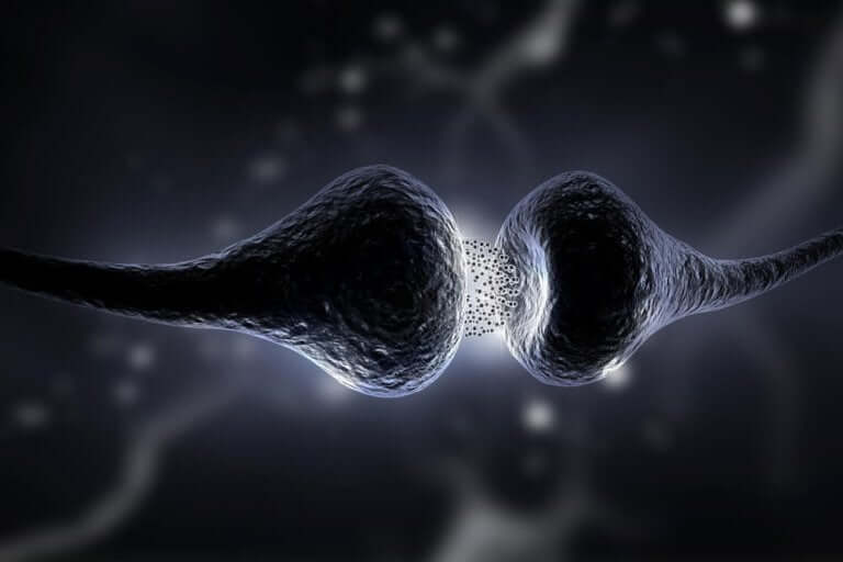 L'illustration d'une synapse
