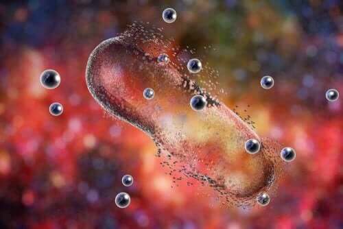 La rifampicine agissant sur une bactérie