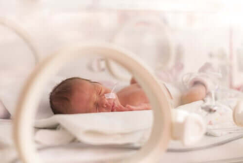 Un bébé dans une couveuse