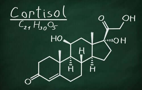 La structure chimique du cortisol