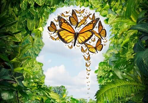 Un esprit empli de papillons, image représentant les effets de la logothérapie