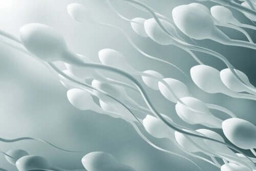 Hémospermie ou présence de sang dans le sperme