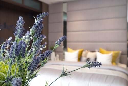 10 clés pour une bonne hygiène de sommeil