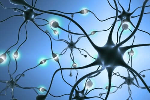 La neurogenèse : comment se forment les nouveaux neurones ?