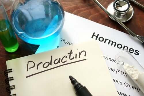 Prolactine : qu'est-ce que c'est et comment ça fonctionne ?