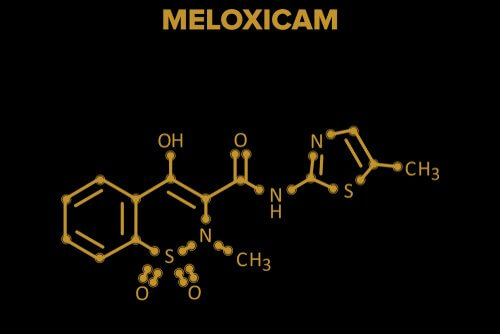 Tout ce que vous devez savoir sur le méloxicam