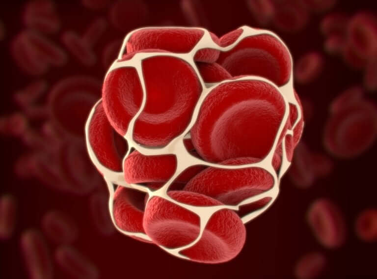 Le processus de la coagulation du sang
