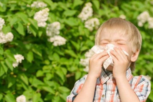 Un enfant ayant des allergies aux graminées