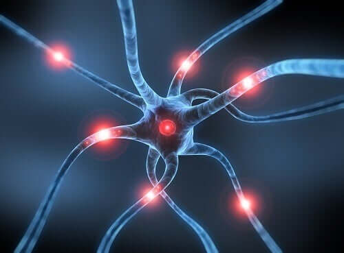La maladie de Parkinson et les neurones