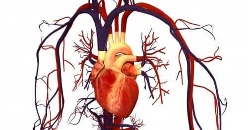 L'atorvastatine et les maladies cardiovasculaires