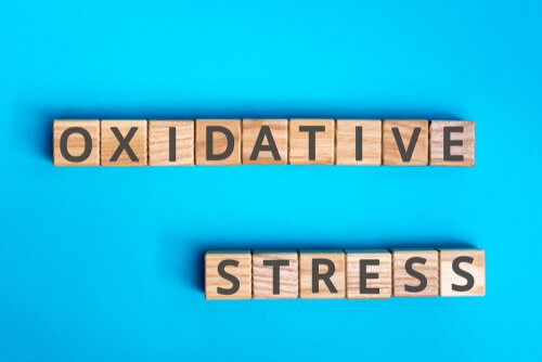 Stress oxydant : en quoi cela consiste ?