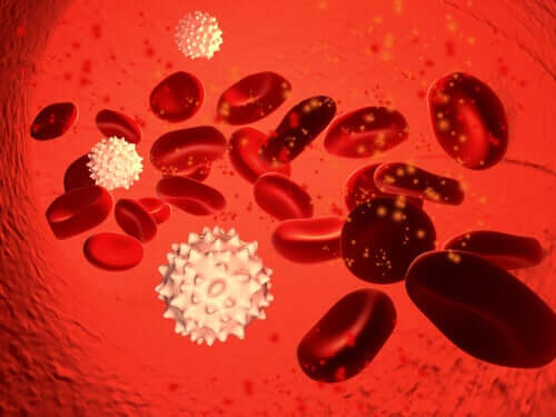 La vitamine A et le maintien du système immunitaire