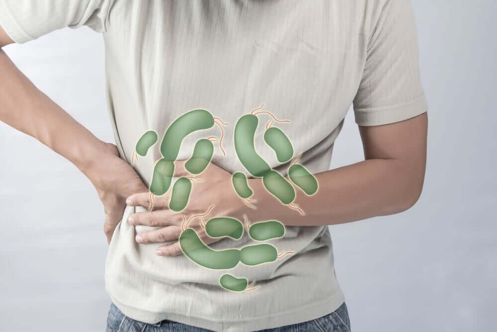 Les bactéries de l'estomac et l'hypochlorhydrie