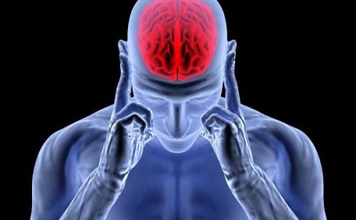 L'adrénaline et la norépinéphrine dans le cerveau humain