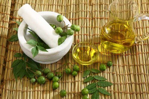 L'huile de neem est efficace pour hydrater vos cheveux