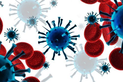 Le développement des cellules du système immunitaire