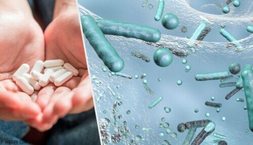 Comment traiter la septicémie urinaire ?
