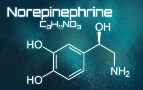 Qu'est-ce que la norépinéphrine et à quoi sert-elle ?