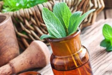 Les 15 meilleures herbes médicinales et leurs utilisations