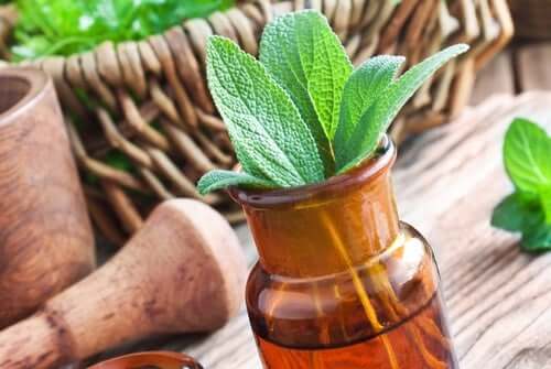 Les 15 meilleures herbes médicinales et leurs utilisations