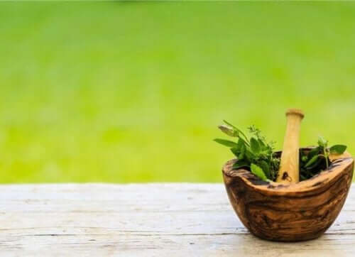 Un cataplasme réalisé dans un mortier pour soulager une entorse de cheville