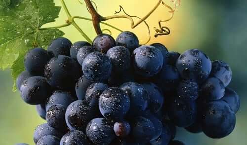 Une grappe de raisin.