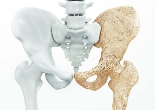 L'anatomie du plancher pelvien masculin
