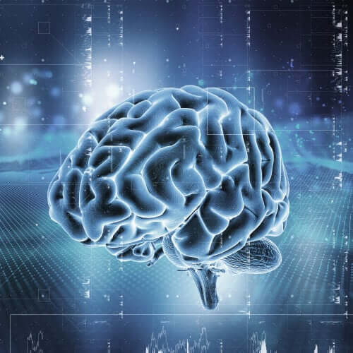Un cerveau soumis à l'addiction aux opioïdes