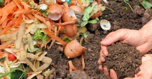 Faire son propre compost permet de prendre soin de l'environnement