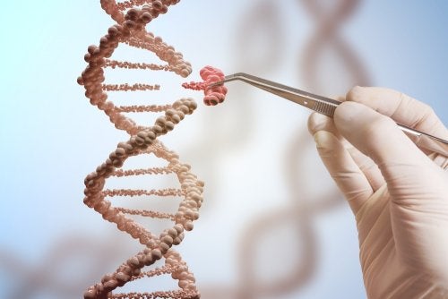 Les mutations génétiques de la chaîne de l'ADN