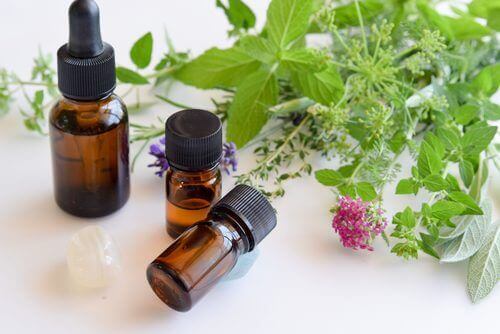 Lutter contre la candidose orale grâce à l'huile d'origan