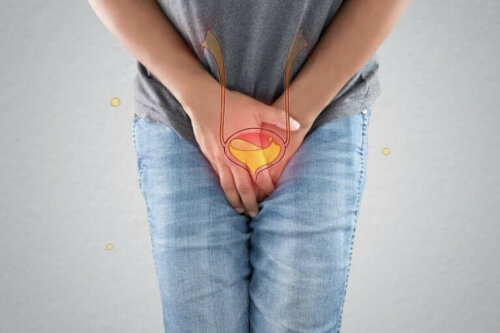 L'implication des nitrites dans les infections urinaires