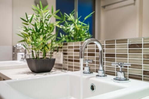 Un bambou dans une salle de bains