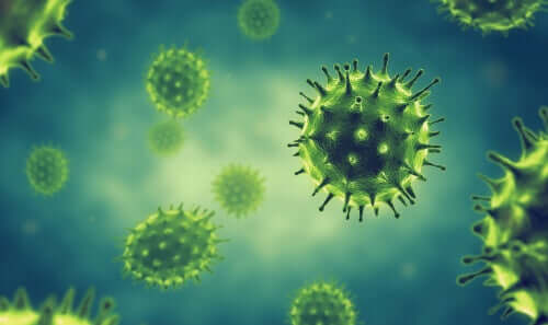 Des coronavirus
