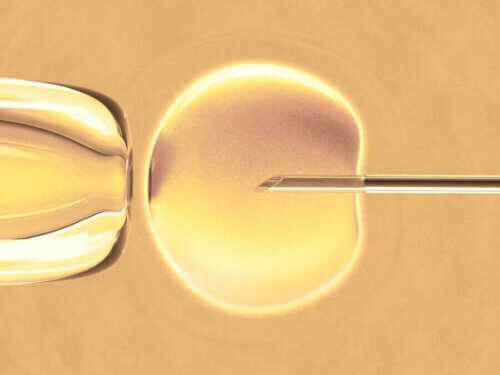 Qu'est-ce que la fécondation in vitro ?