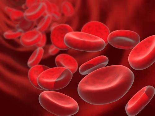 L'anémie ferriprive et les globules rouges