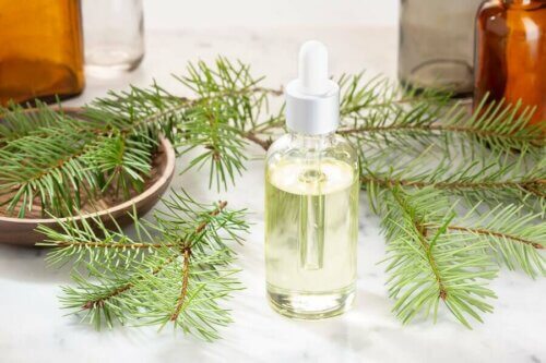 L'huile essentielle de pin pour soulager les rhumes
