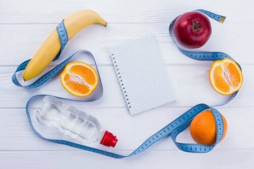 Alimentation végétarienne : le guide pour débutants