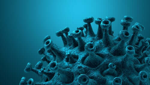 Le coronavirus attaque les cellules