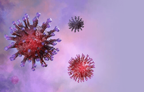 Les molécules du coronavirus