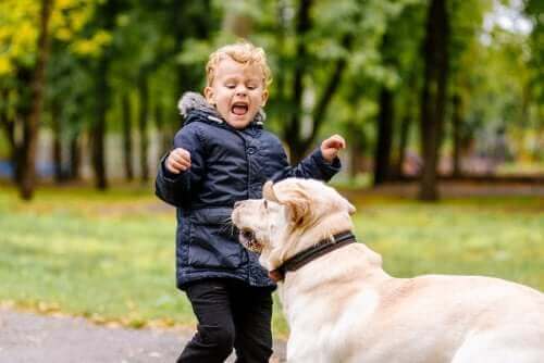 Faire face à ses peurs, c'est aussi apprendre des jeunes enfants