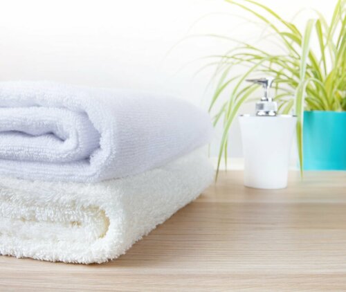 Les plantes que vous devriez avoir dans votre salle de bains