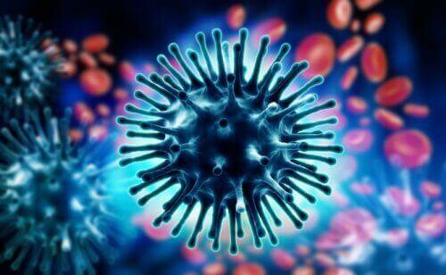 L'image d'un virus