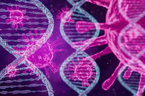 Une étude confirme l'existence de trois types de coronavirus dans le monde