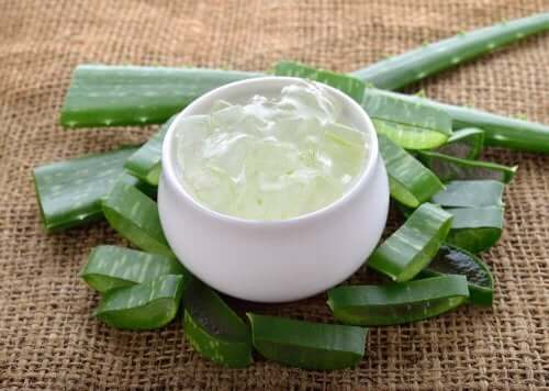 Lutter contre les points noirs avec l'aloe vera