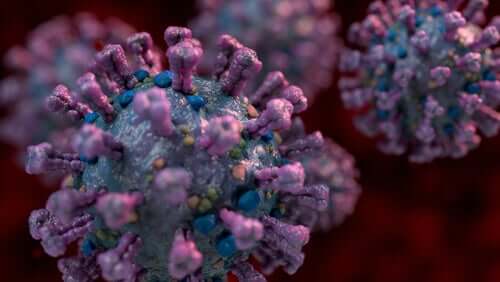 Un des trois types de coronavirus qui existent dans le monde