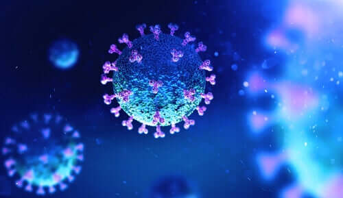 Des cellules de coronavirus